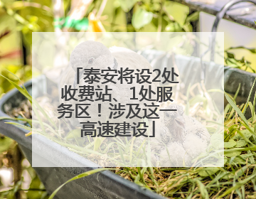 泰安将设2处收费站、1处服务区！涉及这一高速建设